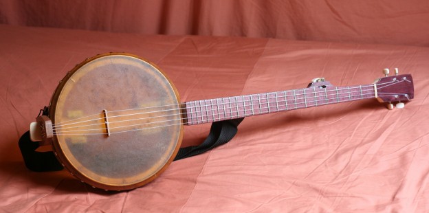 Kenny Holburn's Banjo